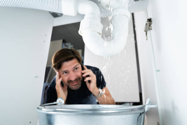 Best Leak Detection Services  in Altadena, CA