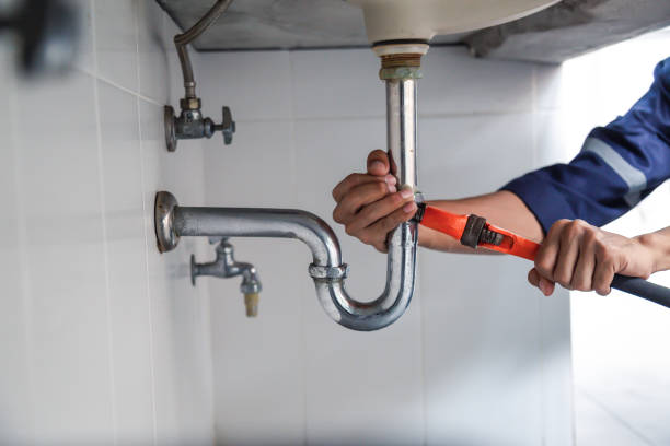 Best Plumbing Inspection Services  in Altadena, CA